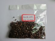 OH 95 wooden beads