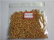 OH108 WOOD BEADS