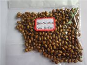 OH107 WOOD BEADS