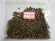 OH114 WOOD BEADS